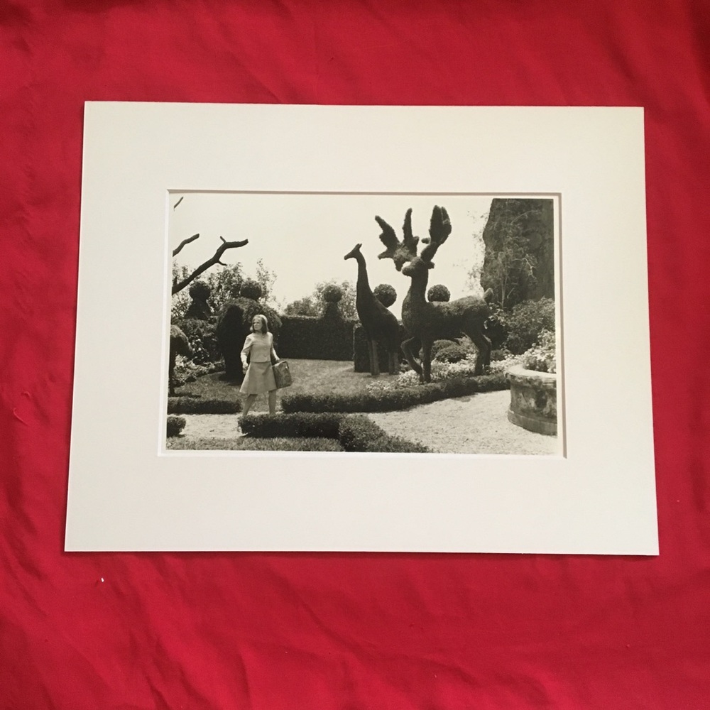 Edward Scissorhands art matted hedges Burton Wiest